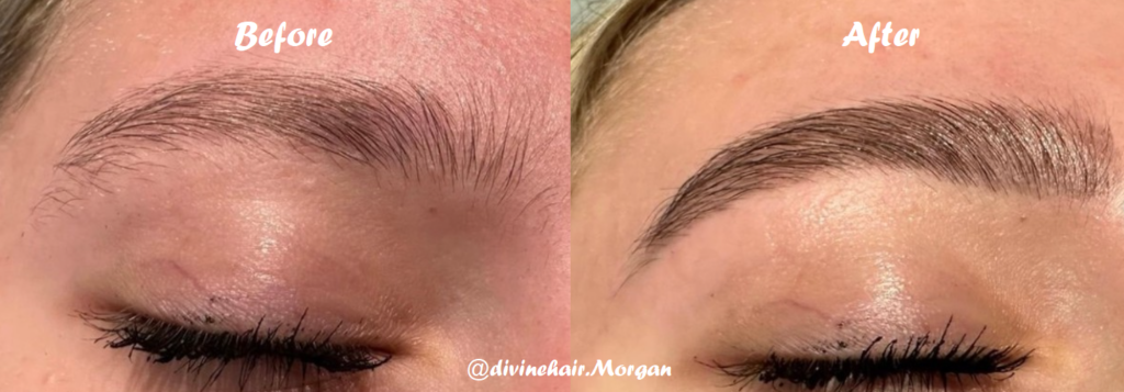 Brow wax and tint before and after by Morgan Gunderson