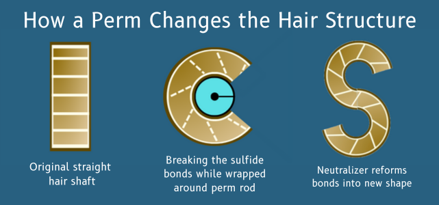 A diagram of the chemical reaction inside the hair during a perm
